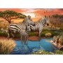 Puzzle Zebre La Apa, 500 Piese Ravensburger - 1